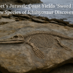 20251010_1158_Ichthyosaur Discovery on Jurassic Coast_simple_compose_01k76csredf3qr3bjqp7petw2x