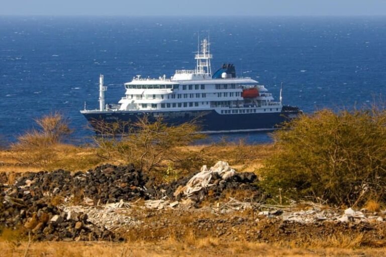 MV Hondius cruise ship anchored near Cape Verde after deadly Andes hantavirus outbreak was identified on board April 2026